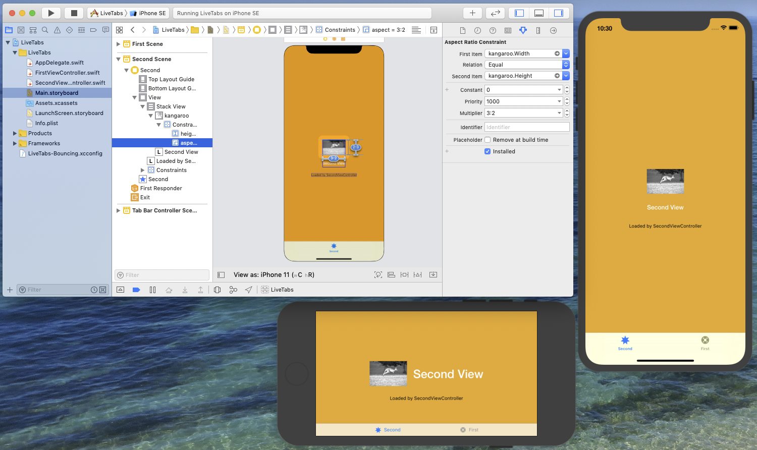 Aspect ratio constraint added to the kangaroo image view