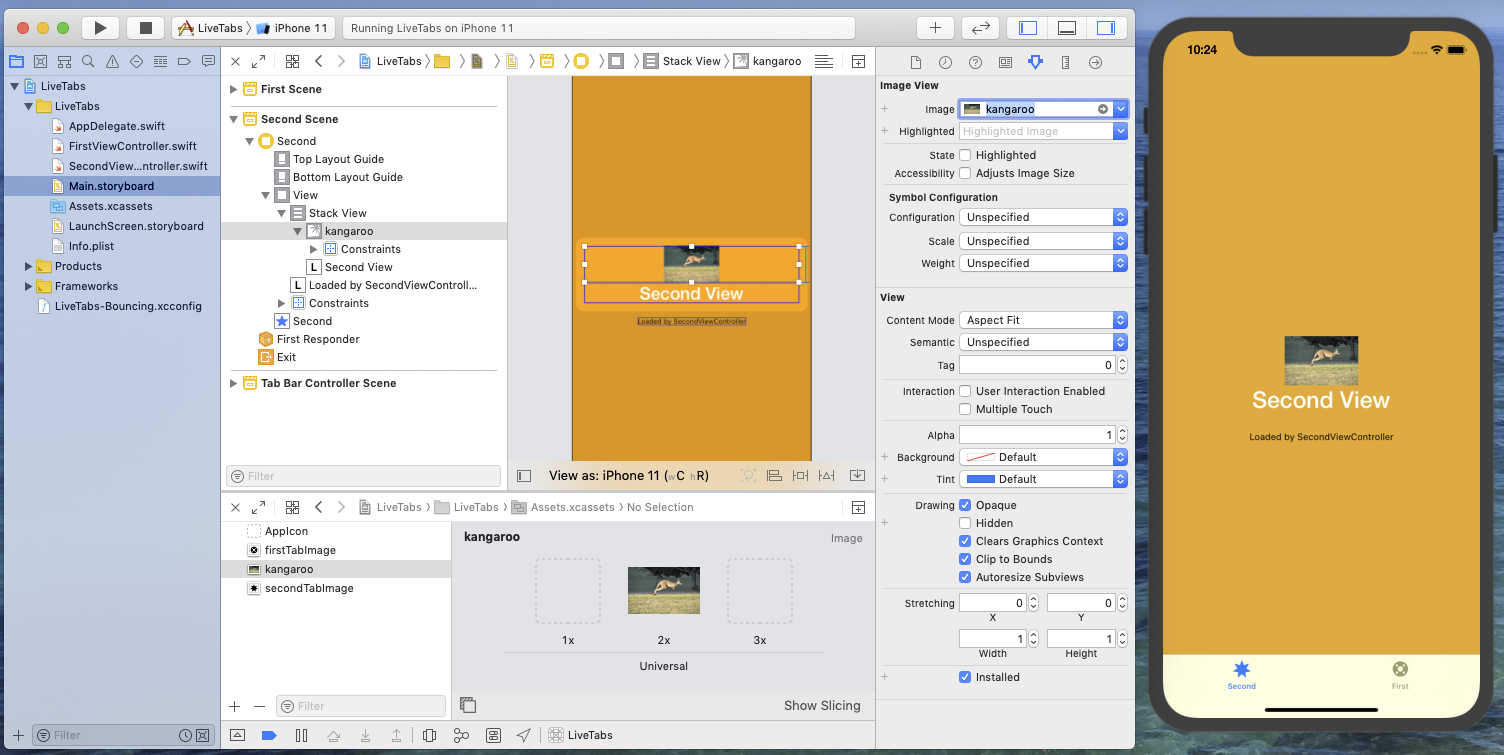 Image View configured with an asset image in the Second View Controller